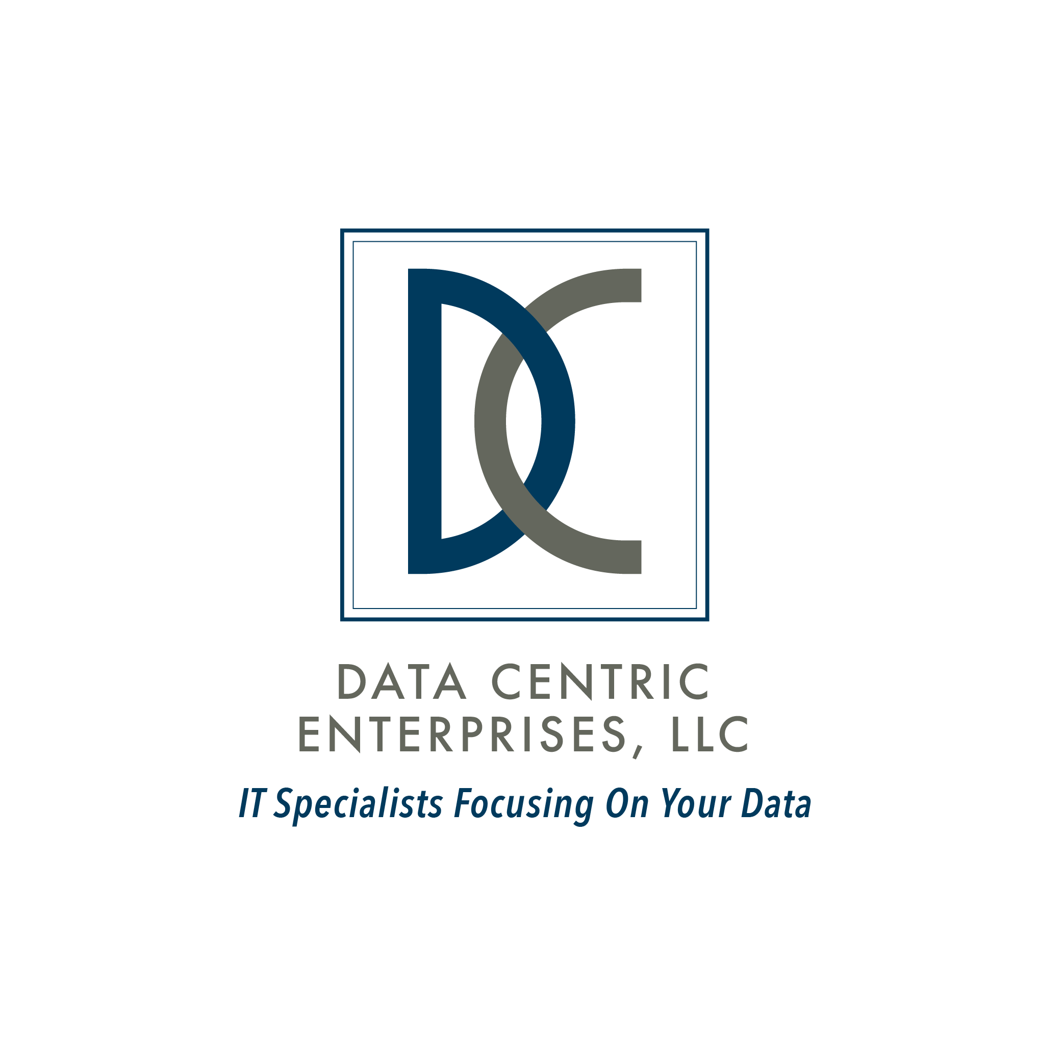 Data Centric Enterprises logo